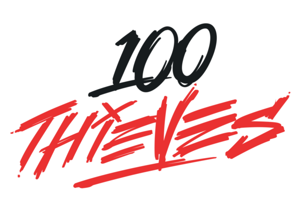 100 thieves logo